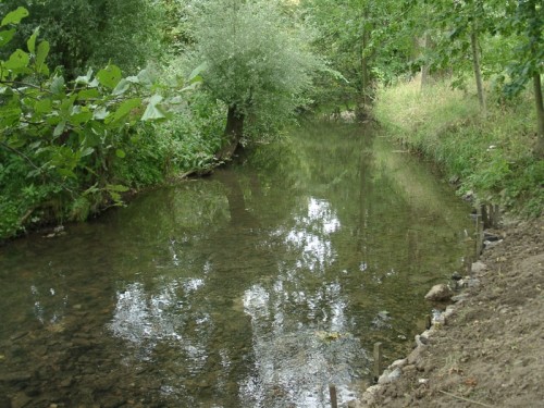 Gesunde Flüsse und Bäche – wie hier die Bega bei Brake – sind wichtige Ressourcen Lippes. 