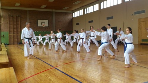 Das Bild zeigt die Dan-Anwärter bei der Schulung der Gestik mit WKF-Kampfrichter Uwe Portugall (l.).