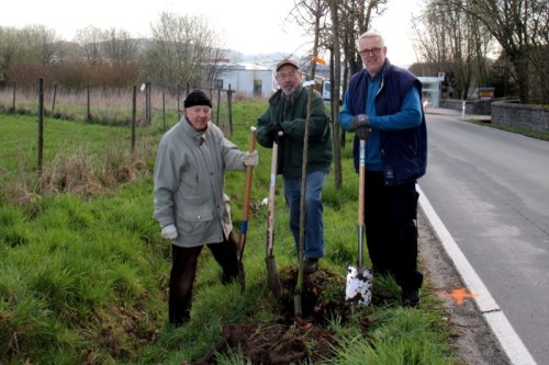 Auf dem Foto sehen Sie von links: Dieter Winzek, Rainer Baar und Günter Werner vom Heimat- und Geselligkeitsverein Nienhagen Erve bei der Pflanzaktion an der Birnenbaum-Allee