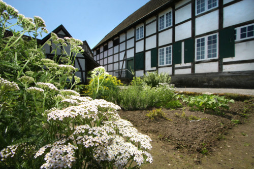 Der Apothekergarten im LWL-Freilichtmuseum Detmold steht im Mittelpunkt einer Reihe von Führungen. Foto: LWL/Jähne