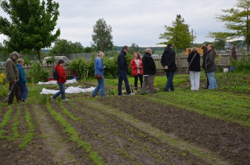 Lange vor dem ersten Gartengemüse lassen sich Wildkräuter in den Gärten ernten. Foto: LWL