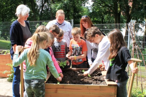 Freude über Förderung. Schülerinnen und Schüler der Klasse 4c der Grundschule am Schloss in Lemgo pflanzen gemeinsam mit Lehrer Marco Darnauer (Mitte) sowie Sylvia Ostmann, Beiratsvorsitzende (links) und Marie-Theres Hahn, Projektleiterin (rechts) der Umweltstiftung Lippe Salat in die neu angelegten Hochbeete.