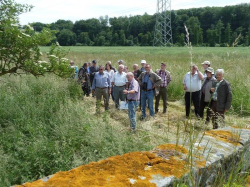 Manfred Zimmermann von der Unteren Landschaftsbehörde informiert über die Entwicklungsziele im Bereich des Herrengrabens. 