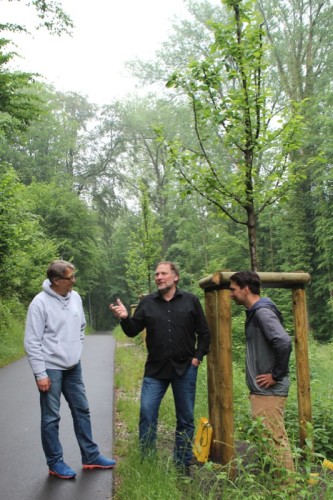 Auf dem Bild sehen Sie von links: Johannes Grothaus (Geschäftsführung Baumschule Lorberg), Johann Bergmann (Fachgebietsleiter Städtische Betriebe), Daniel Lorberg