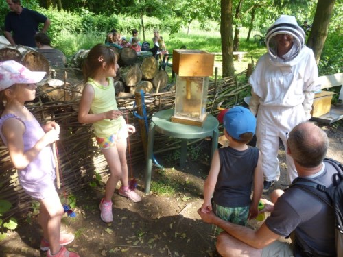 Eine Imkerin erläutert interessierten Kindern die Herstellung von Honig anhand ei- nes Bienenstocks