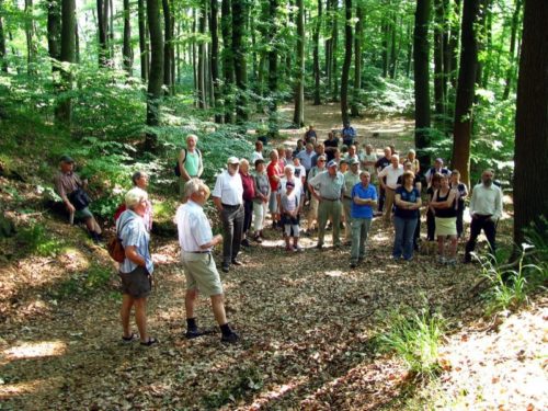 Wo geht’s weiter. Diese Frage wird sich bei den “Wanderungen auf alten Wegen” sicherlich das eine oder andere Mal ergeben. 