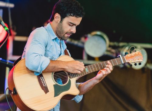 Stewart Park Fest 2015, July 17, 2015 photo by Jason Code