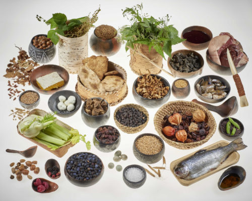 Was in der Jungsteinzeit auf den Tisch kam war Bio, aber nicht alles war gesund / Foto: Lippisches Landesmuseum Detmold