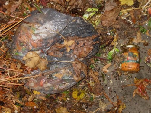 Gehören nicht in den Kompost: Plastik-und Glasteile in der Biotonne.