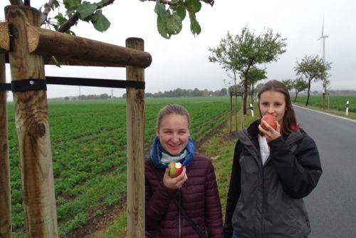 Mit Freude bei der Apfelbaumpflanzung: Yuliia Kliamar und Mara-Lena Burg, beide Praktikantinnen beim Kreis Lippe (von links). 