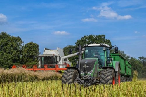 Die Landwirte ziehen Bilanz. Die Ernte war manchmal schwierig, aber es war kein wirklich schlechtes Erntejahr. Das Foto zeigt die Rapsernte. Im Frühjahr beschert der Raps uns gelbe, leuchtende Felder.